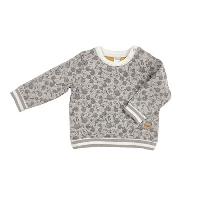 Custom Printed Children Pullover Hoodies for Kids 7 Days Sample Order Lead Time Support